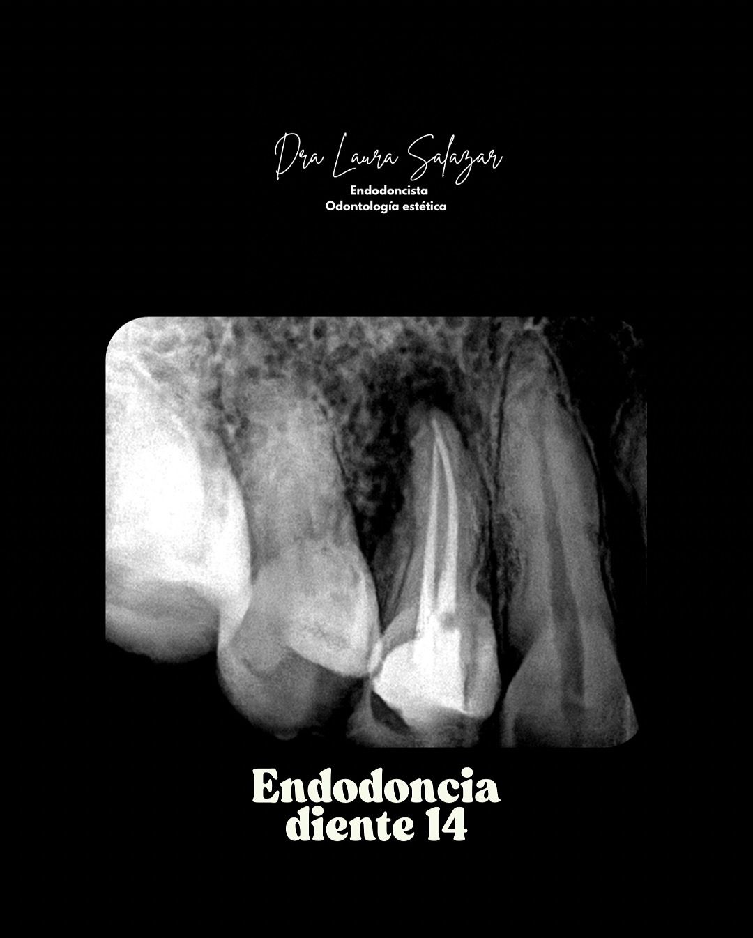 Laura Milena Salazar Monsalve-3