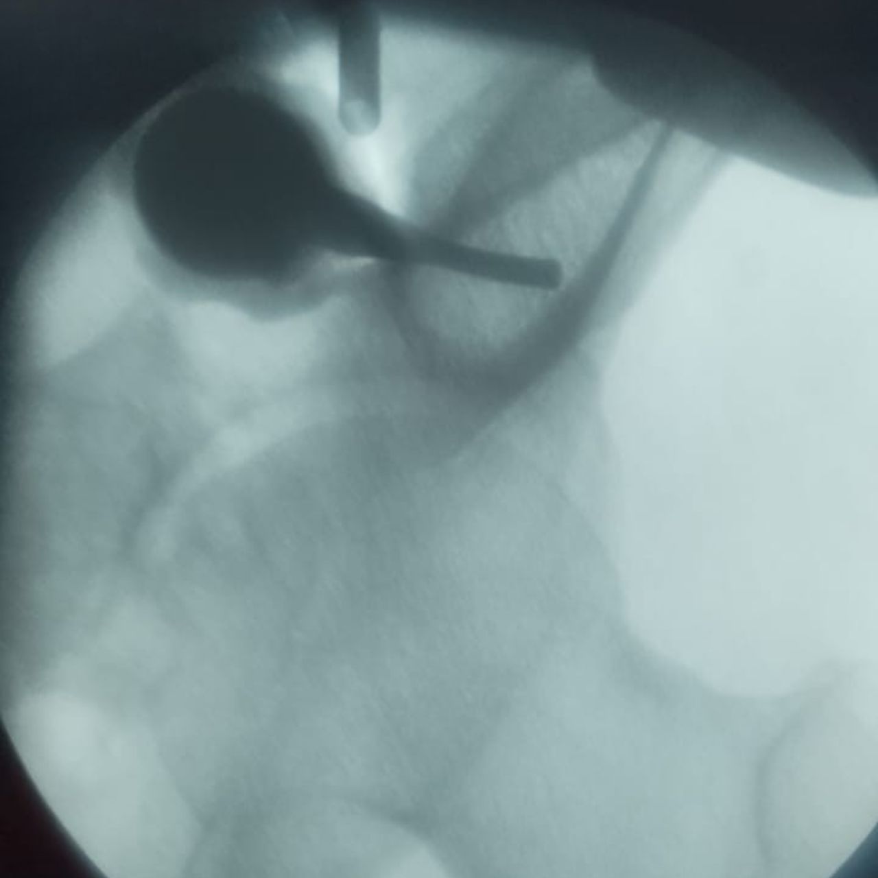 David Tafur Muñoz-2168