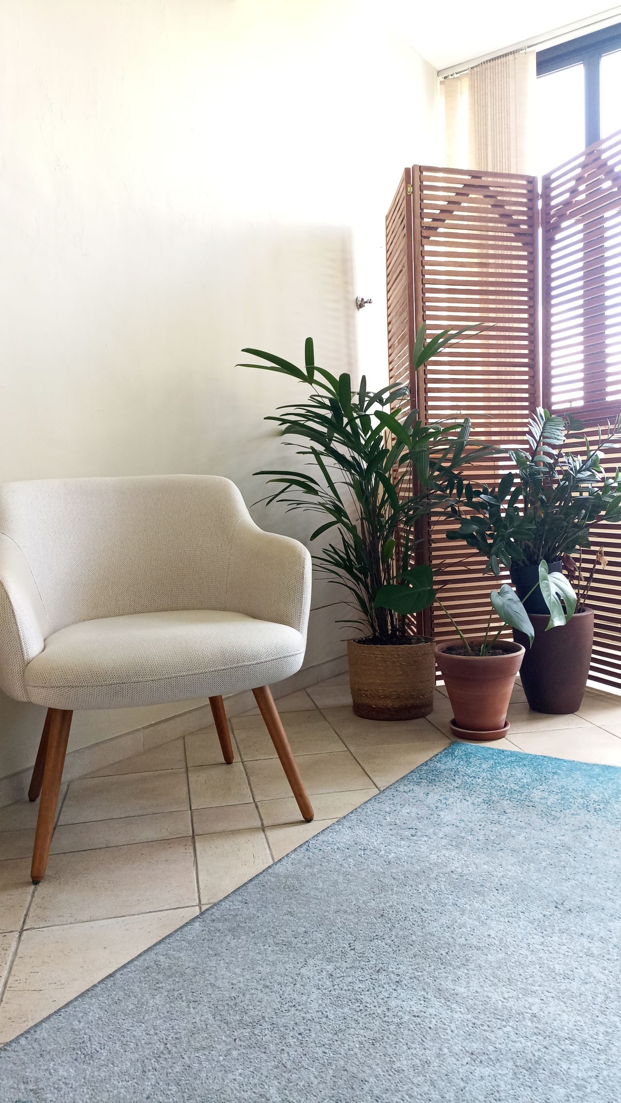 Luiz Gustavo Amadei-10