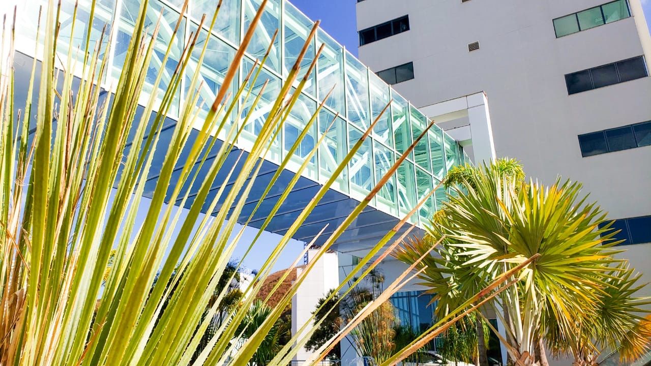 Alexandre De Tarso Machado-10