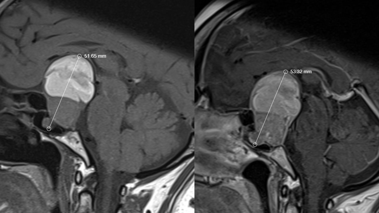 David Tafur Muñoz-1235