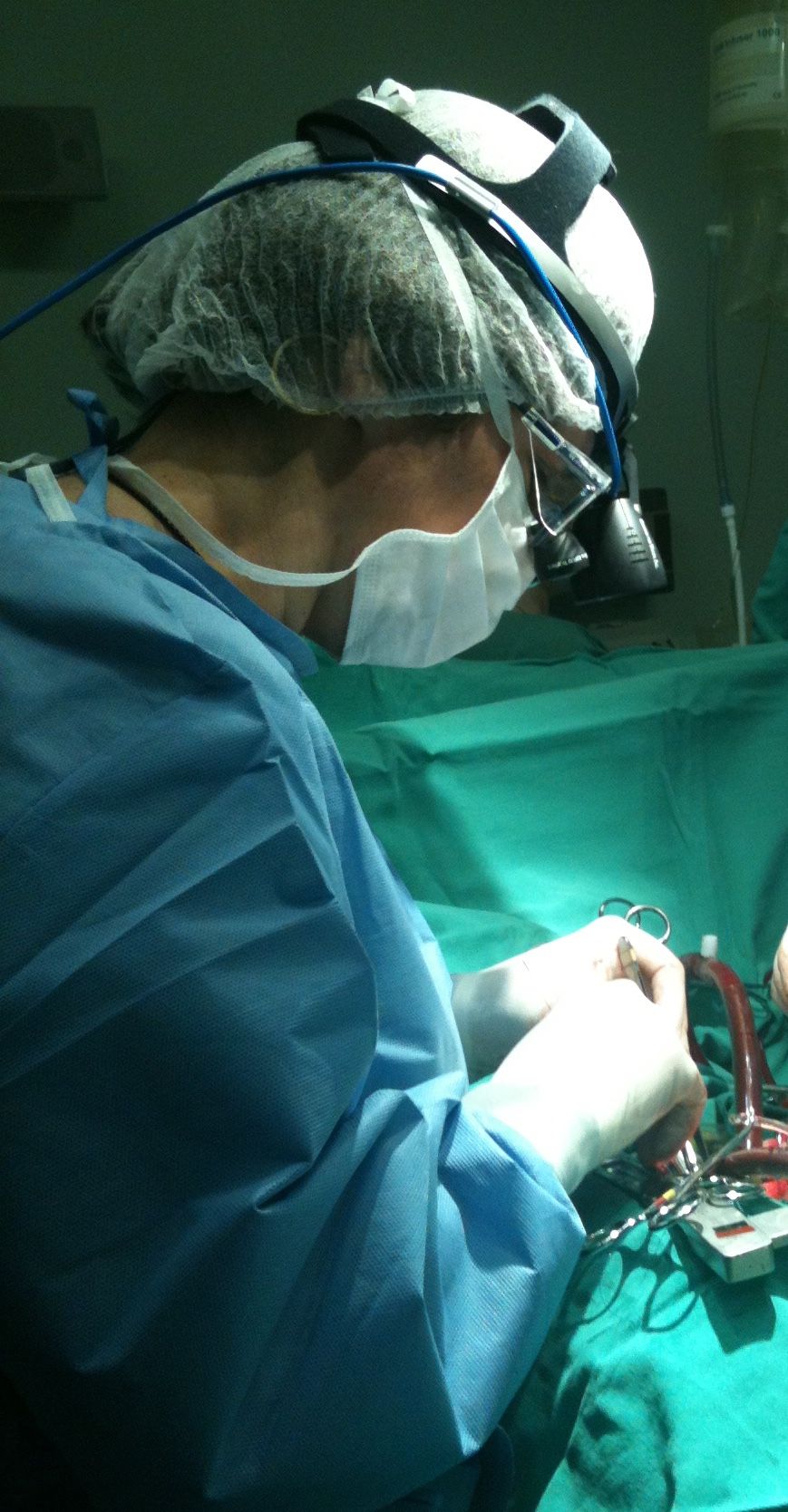 Maria Cristina Rezende-3