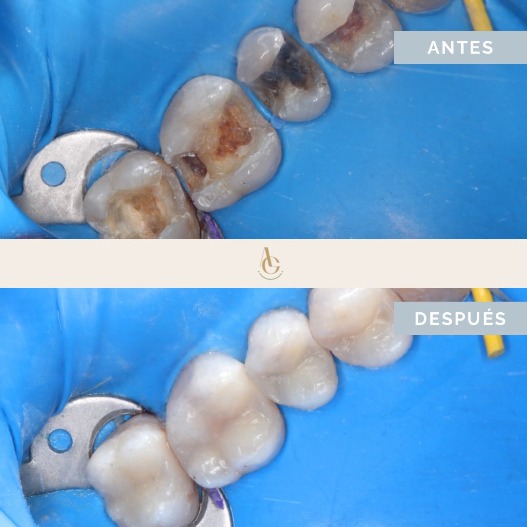 Ángela María Guevara Arredondo-16