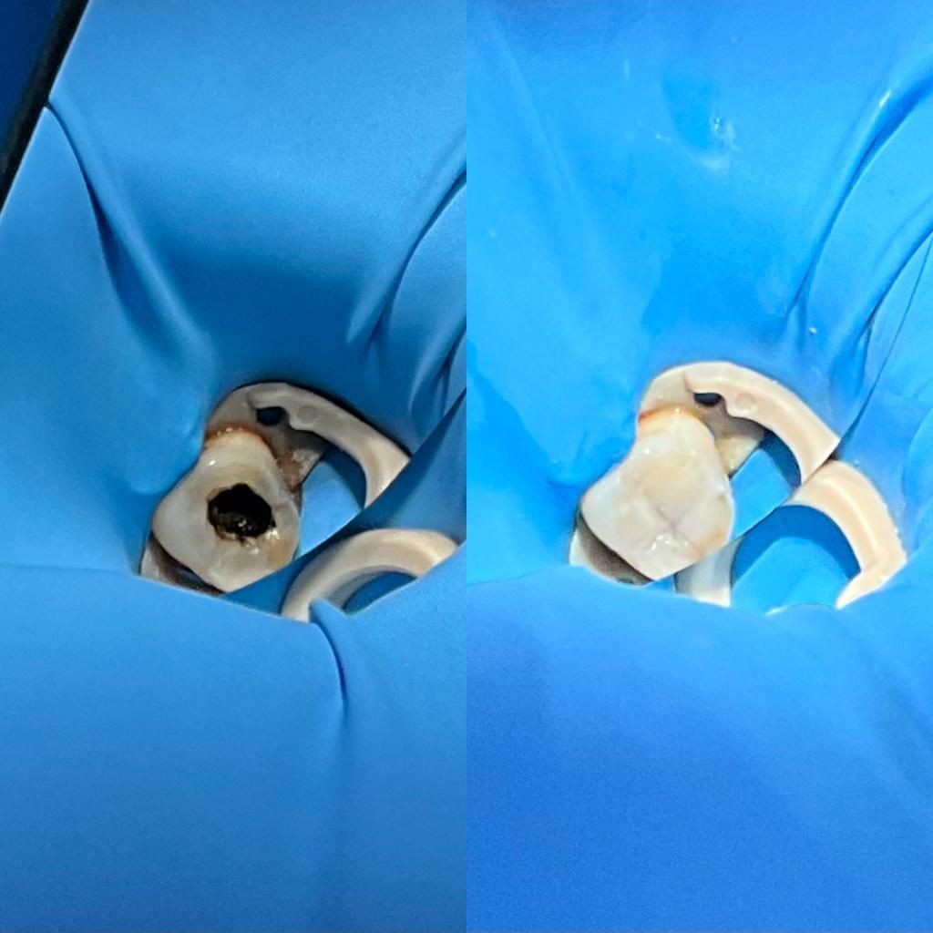 Camila Morales Cespedes-9