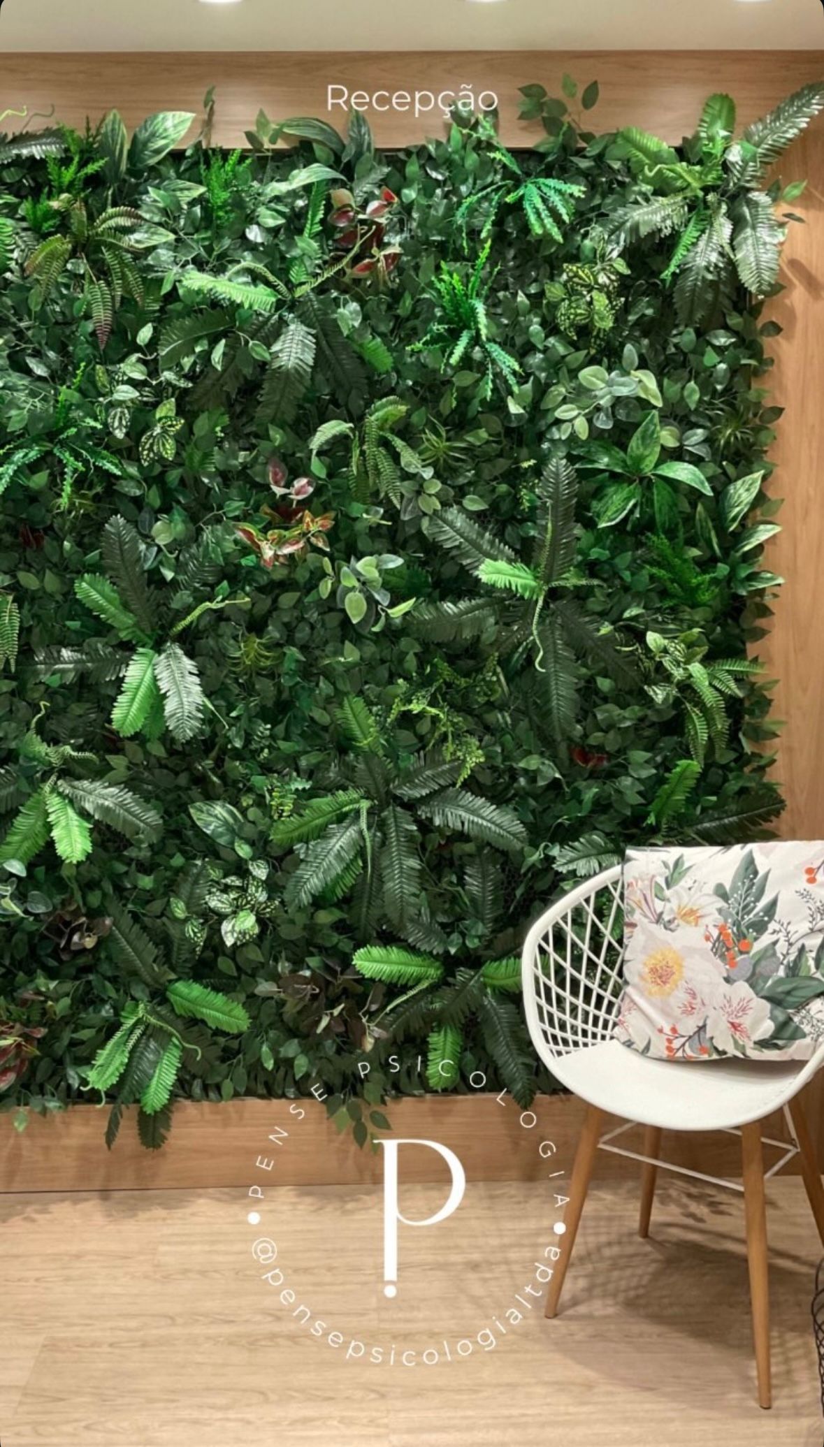 Camila Fonseca De Souza-1