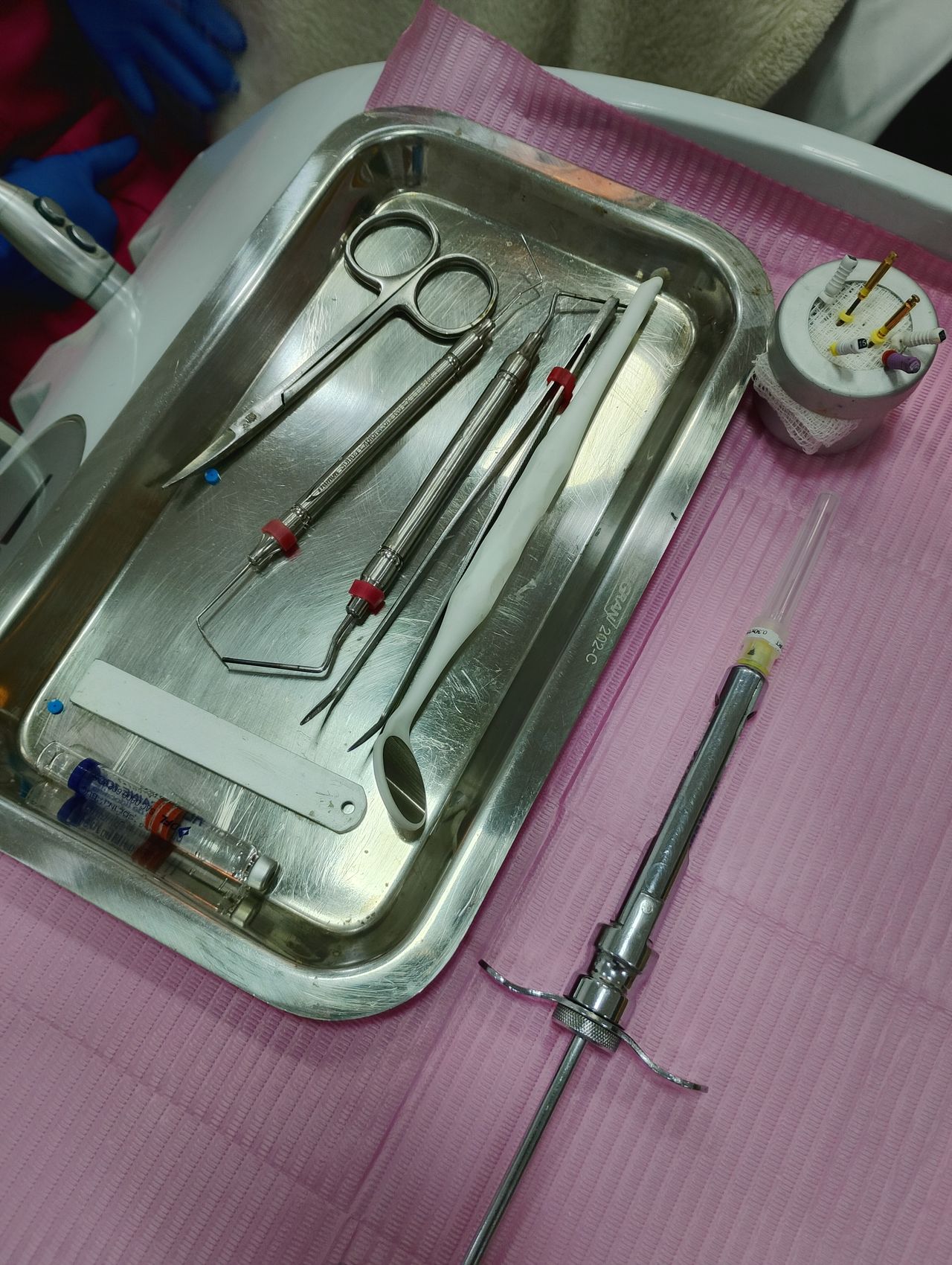 Paula Veridiana Uehbe Dias-18