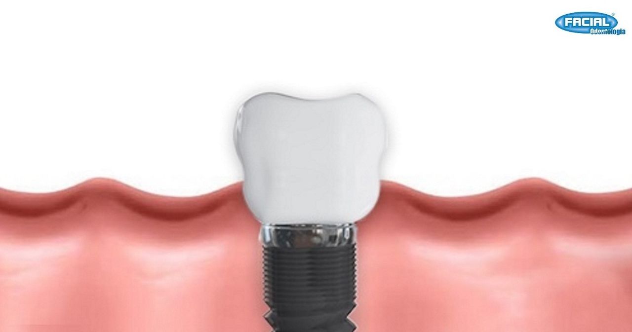 Patrícia Moreira Trócolli-0