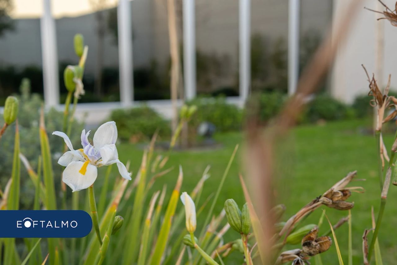 Reinaldo Germán Echavarría-6