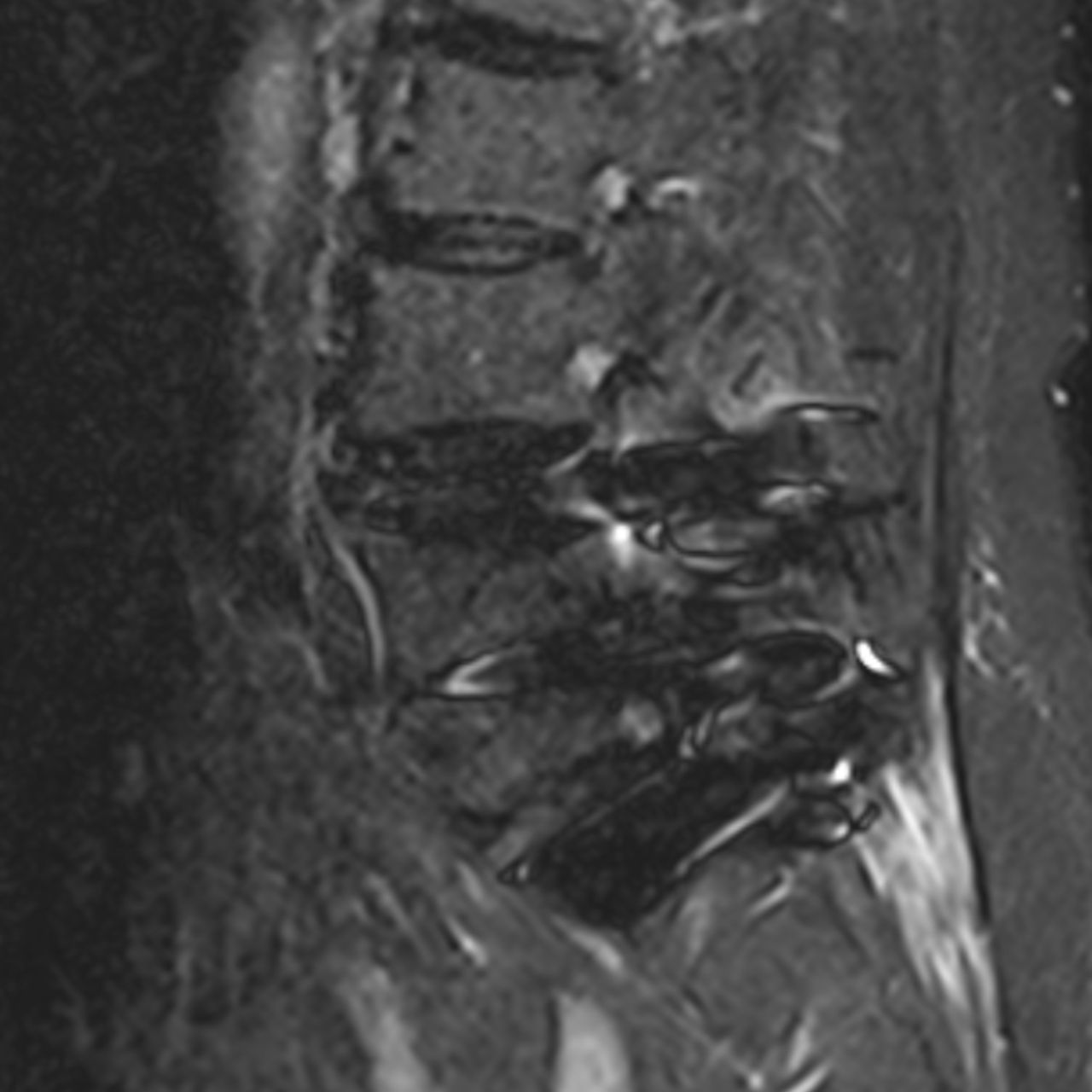 David Tafur Muñoz-1642