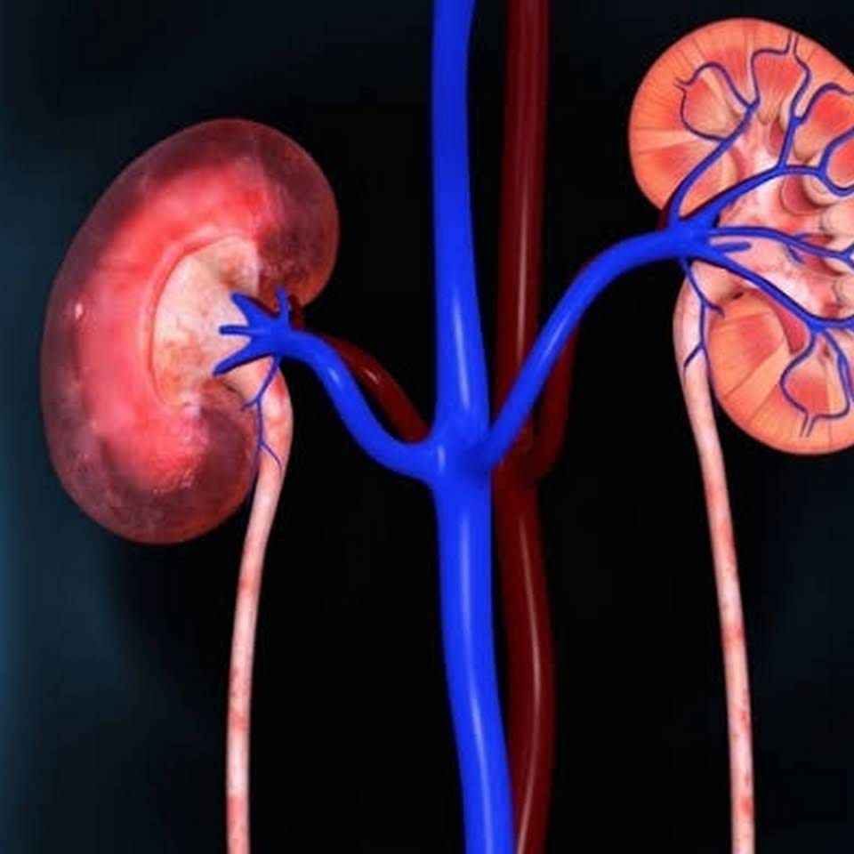 Maria Lúcia Motta Ribeiro-3