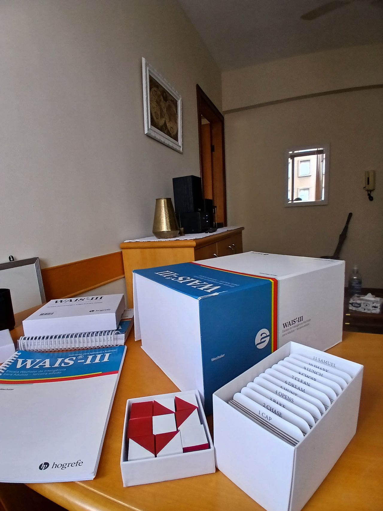 Jean Michel Morita De Souza-4