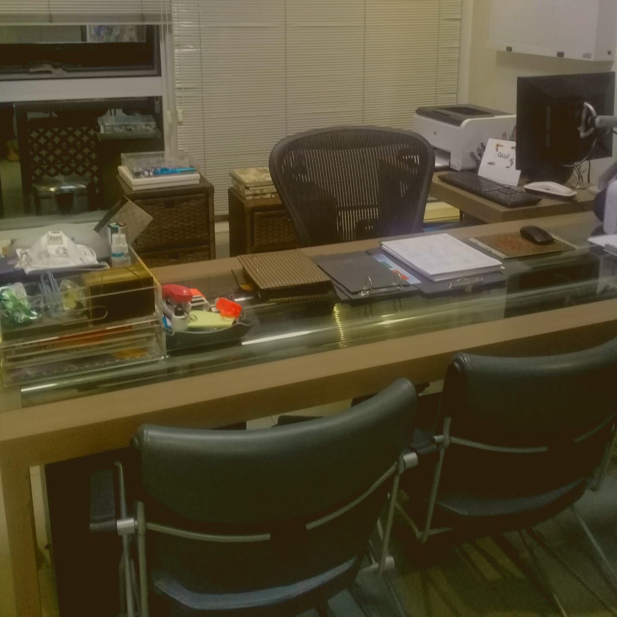 Denise Duarte Iezzi-10