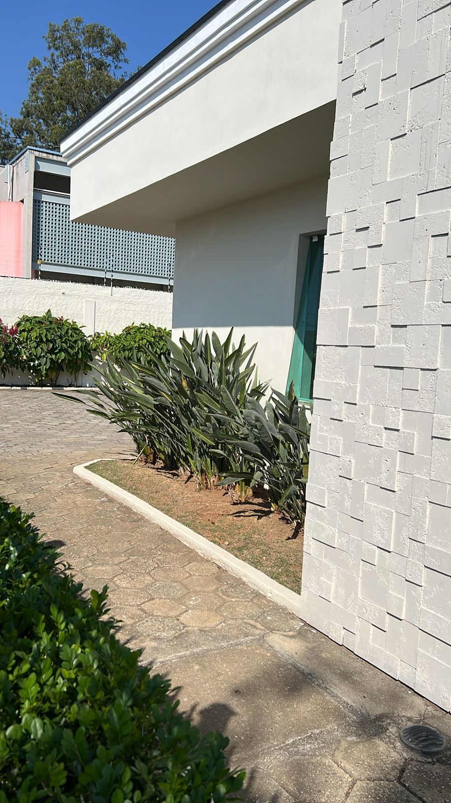 Bruno Rebelo Lages Da Silveira-5