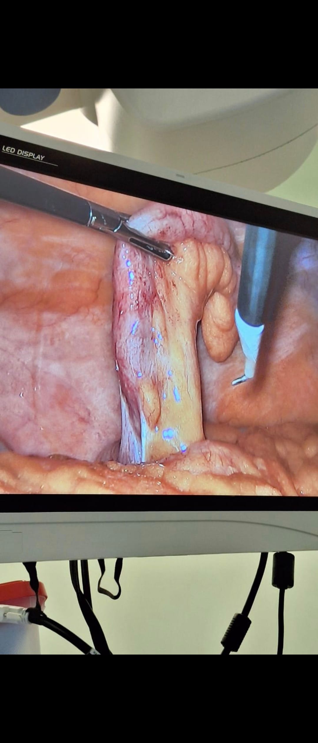 David Rioseco Montecino-1