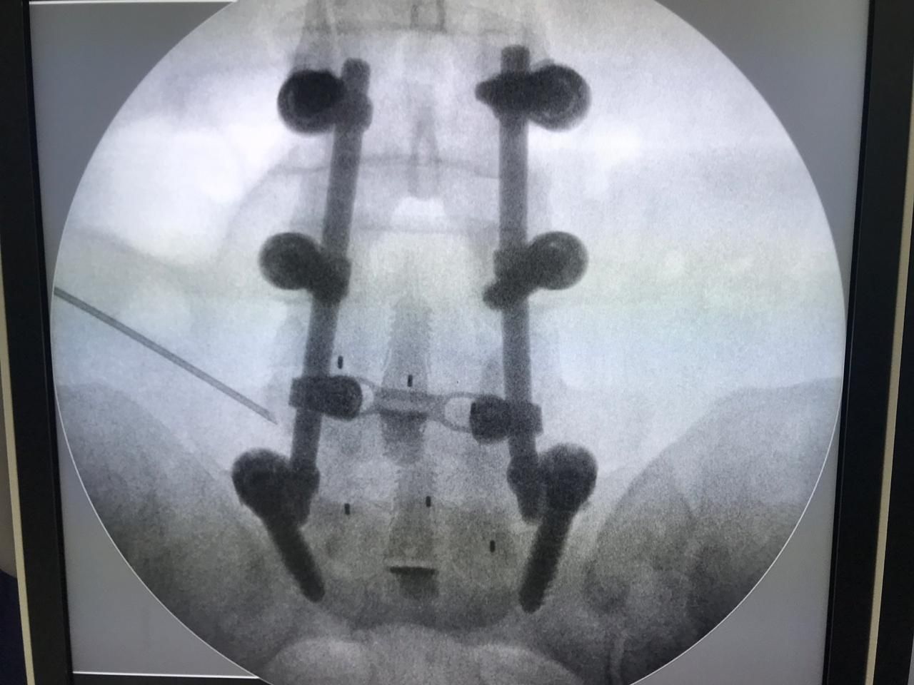 Alexandre Terruggi Jr-4