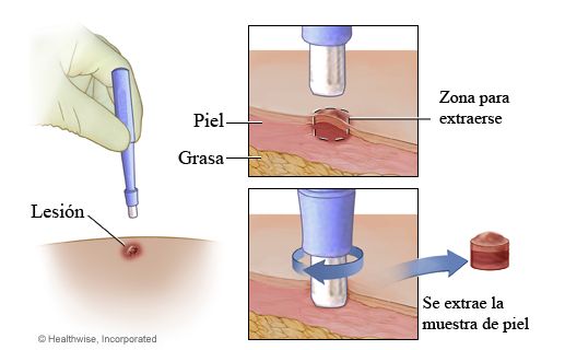 Laura Carvajal Betancur-9