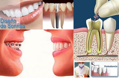 Miguel Angel Bustos Real-7