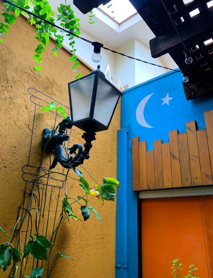 Frederico Guimarães Mendes Filho-3