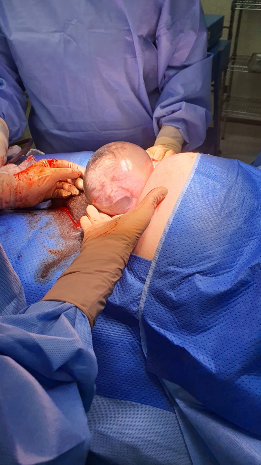 Lorena Alejandra Hormazabal Lama-5