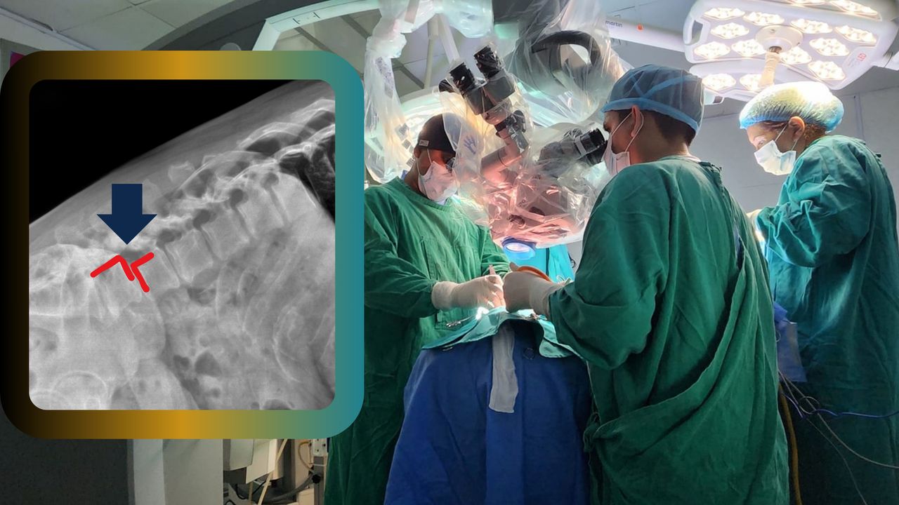 David Tafur Muñoz-2471