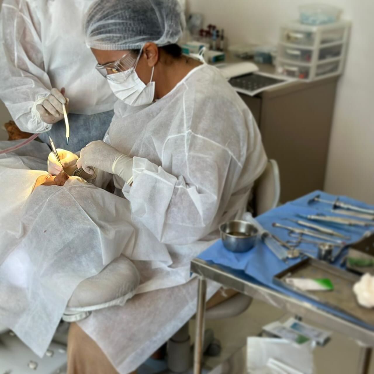 Ana Carolina  Silva E Freitas-8