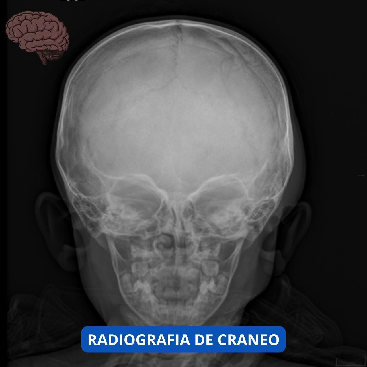 David Tafur Muñoz-1695