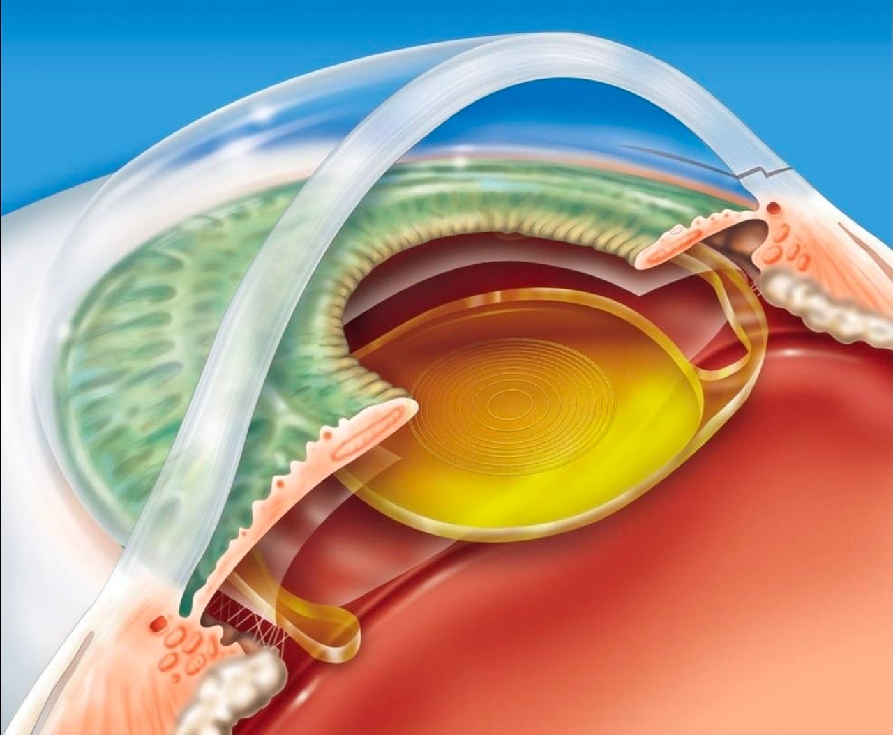 Patrick Figueiredo-10