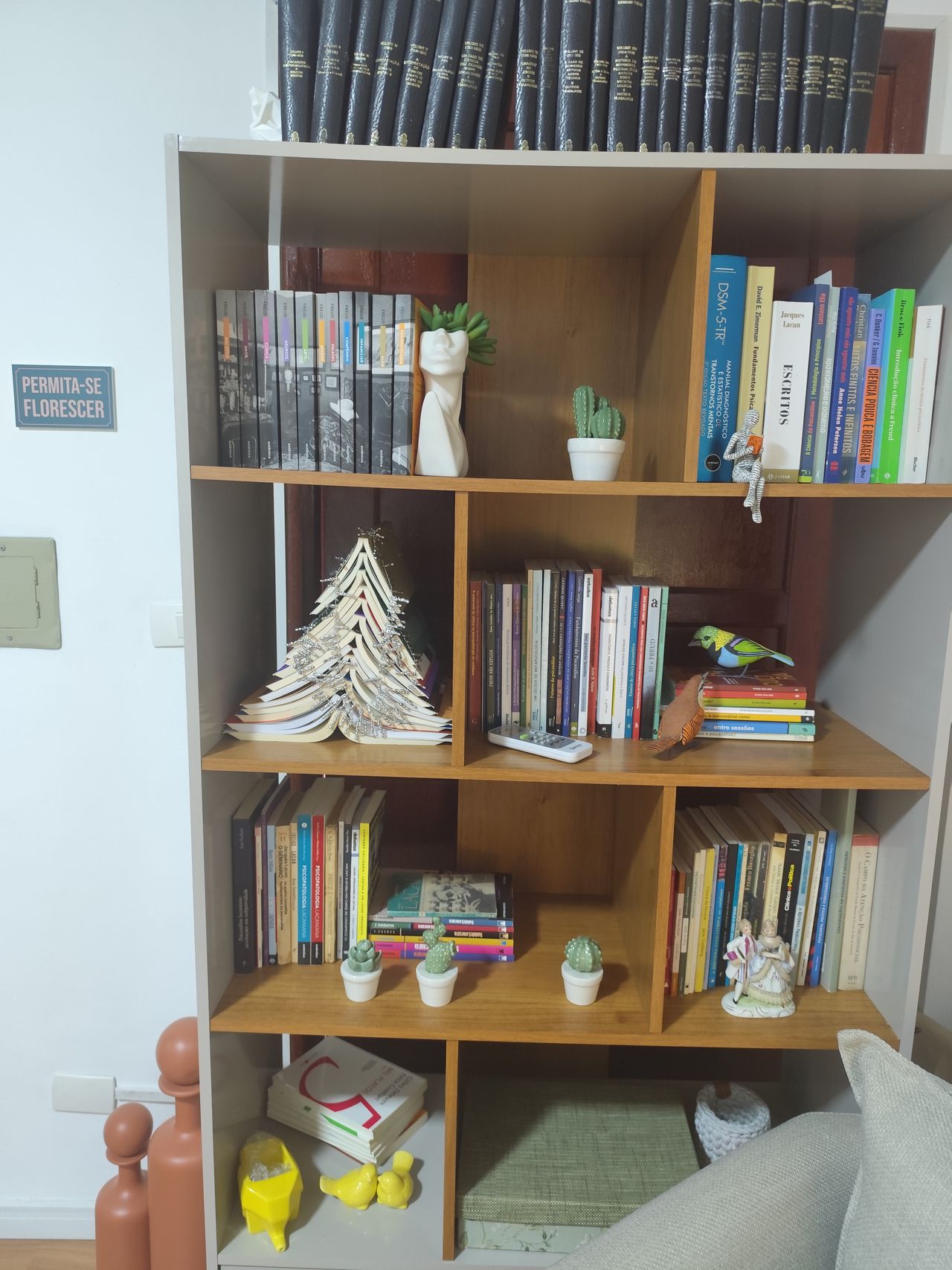 Adriana Chaves De Oliveira Ruback-0