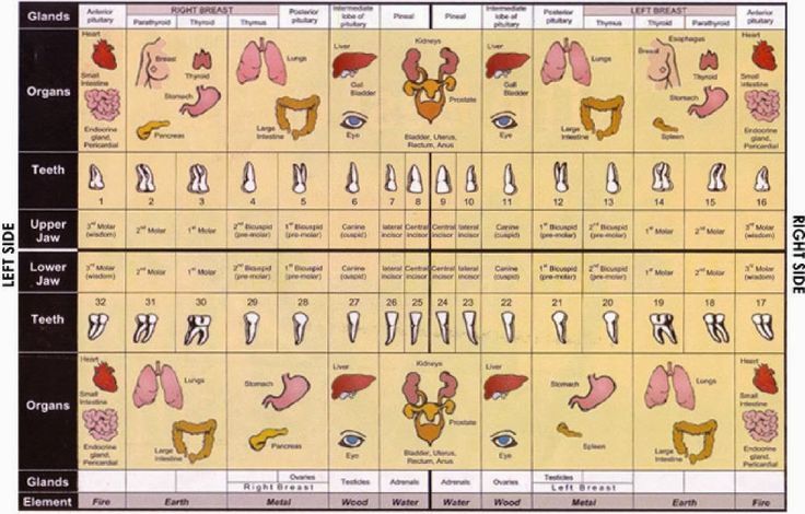 Yulianna Suárez Araque-1