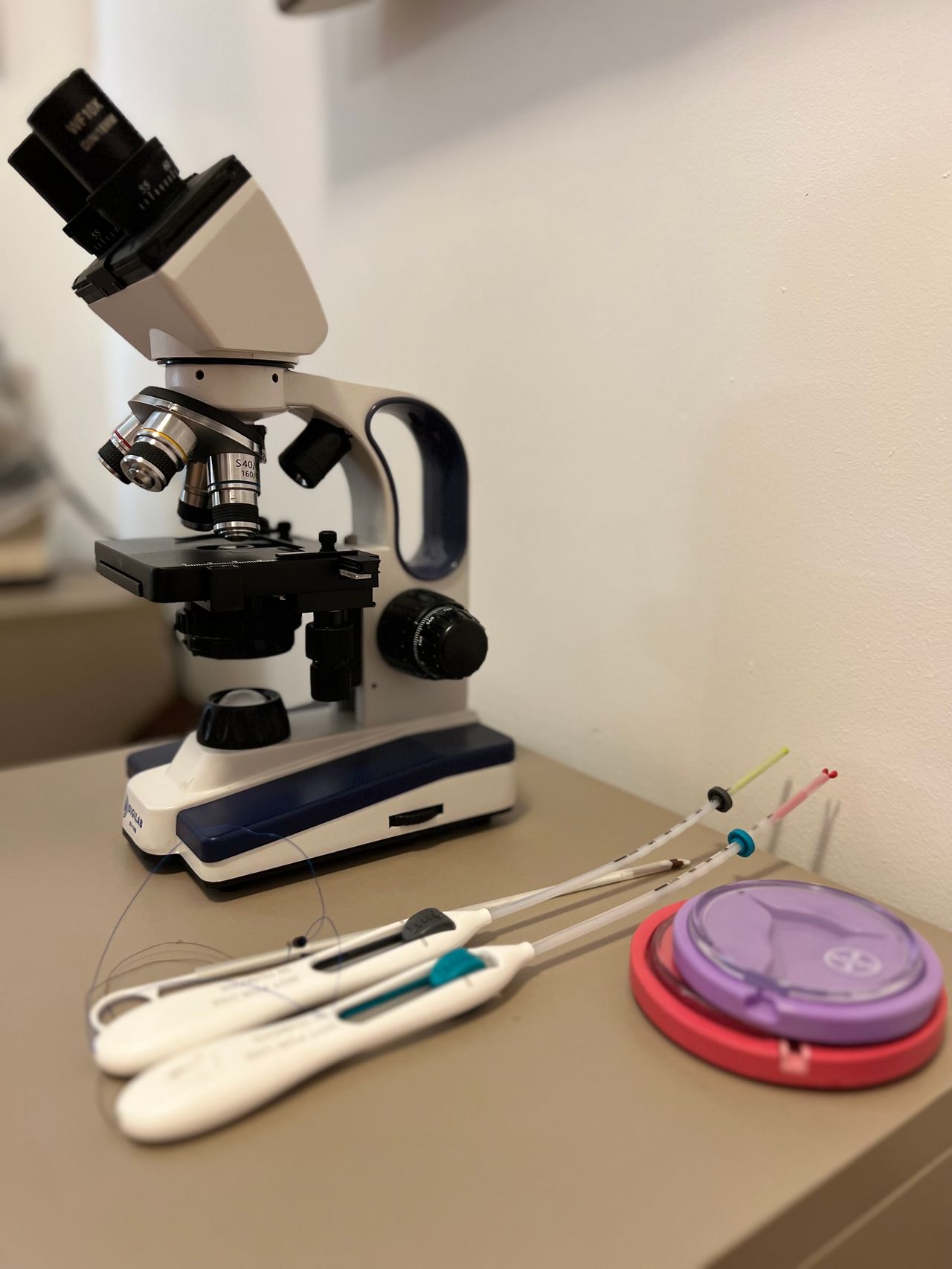 Caroline Braga Trabach-0