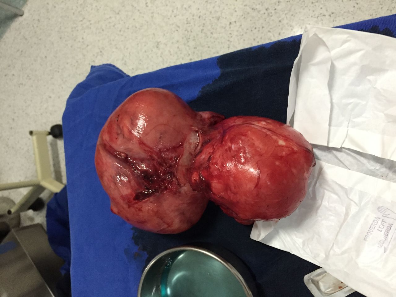 Rodrigo Eduardo De Brito-5