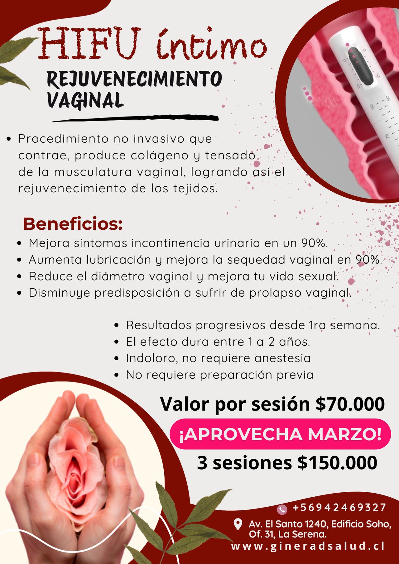 Camila Dinamarca Henríquez-17