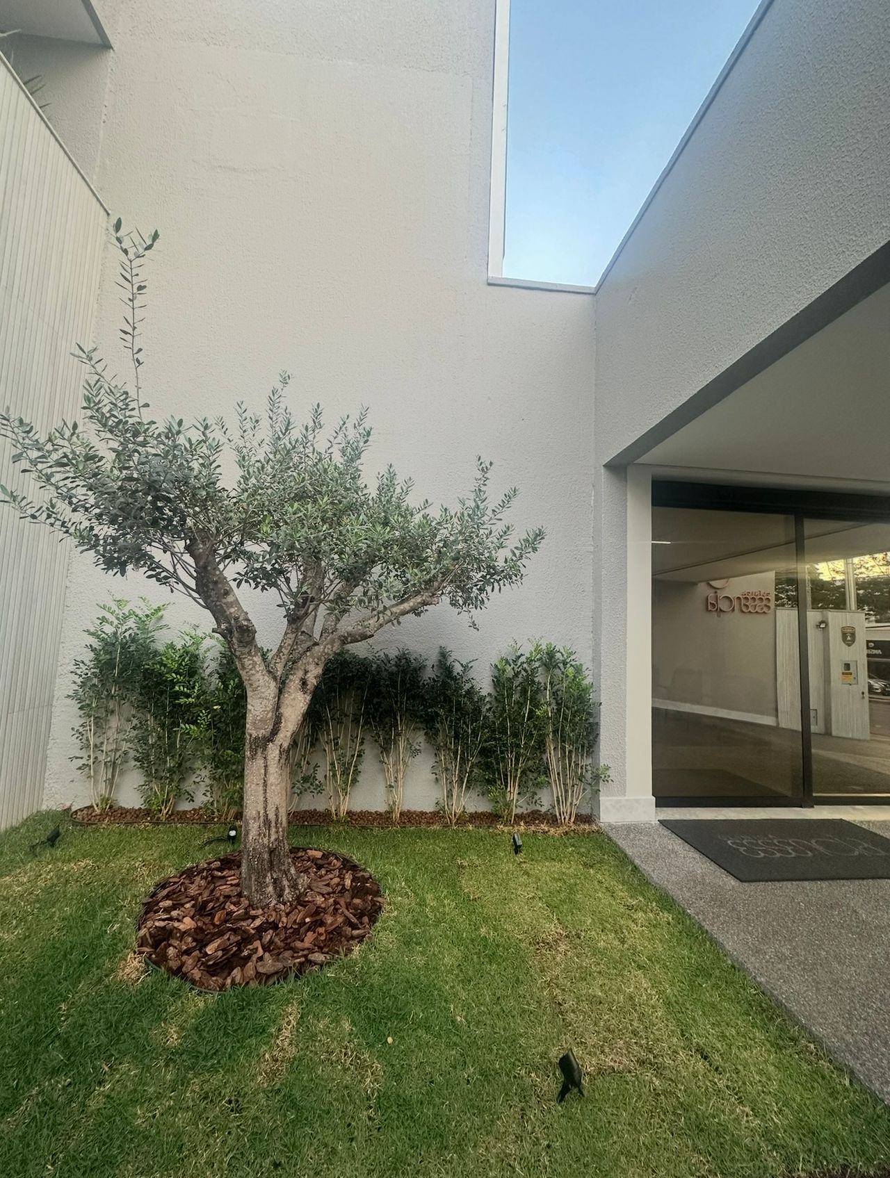 Gabriela Riva Van Lieshout-3