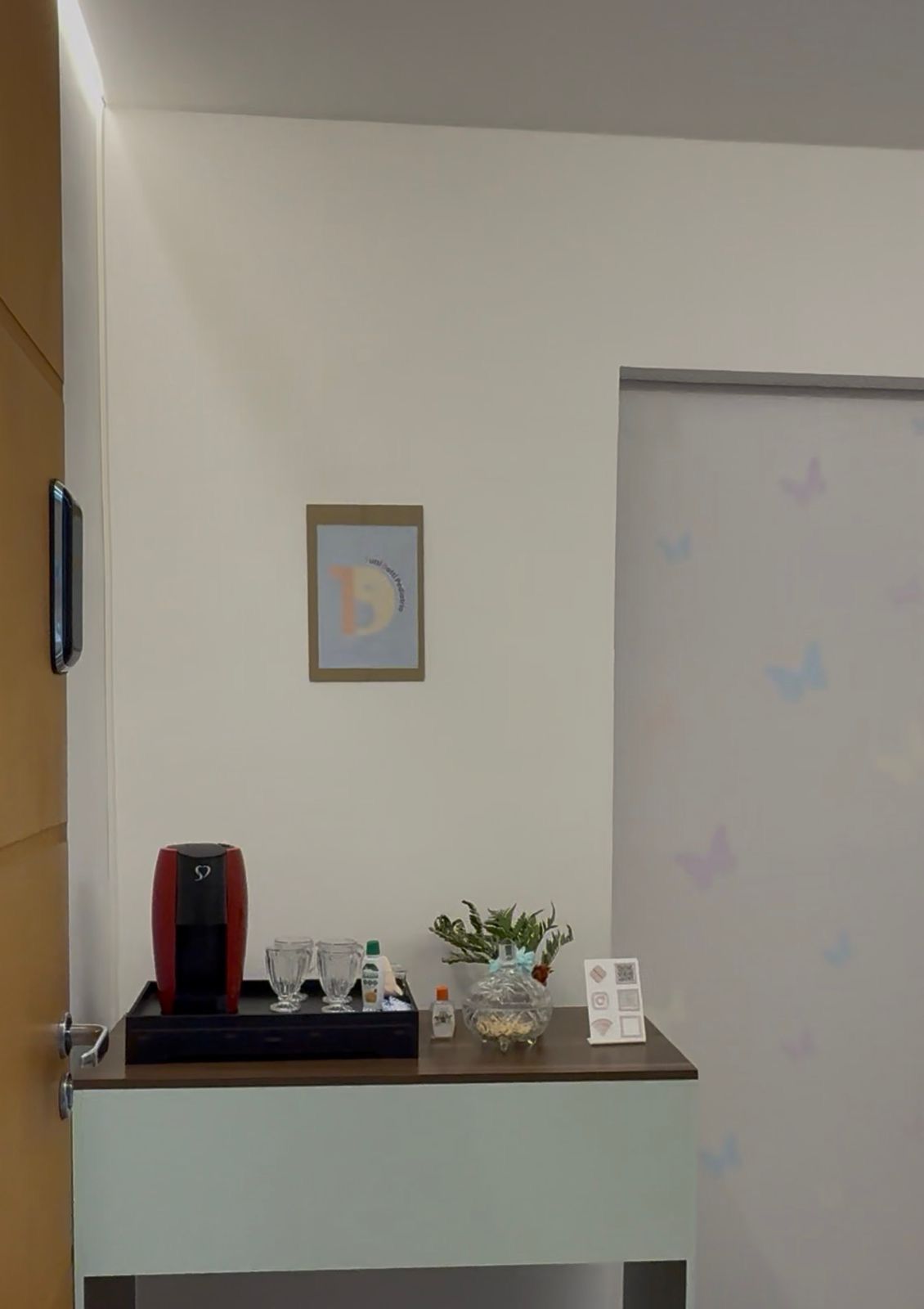 Camila Vidotti Castro Corrêa-4