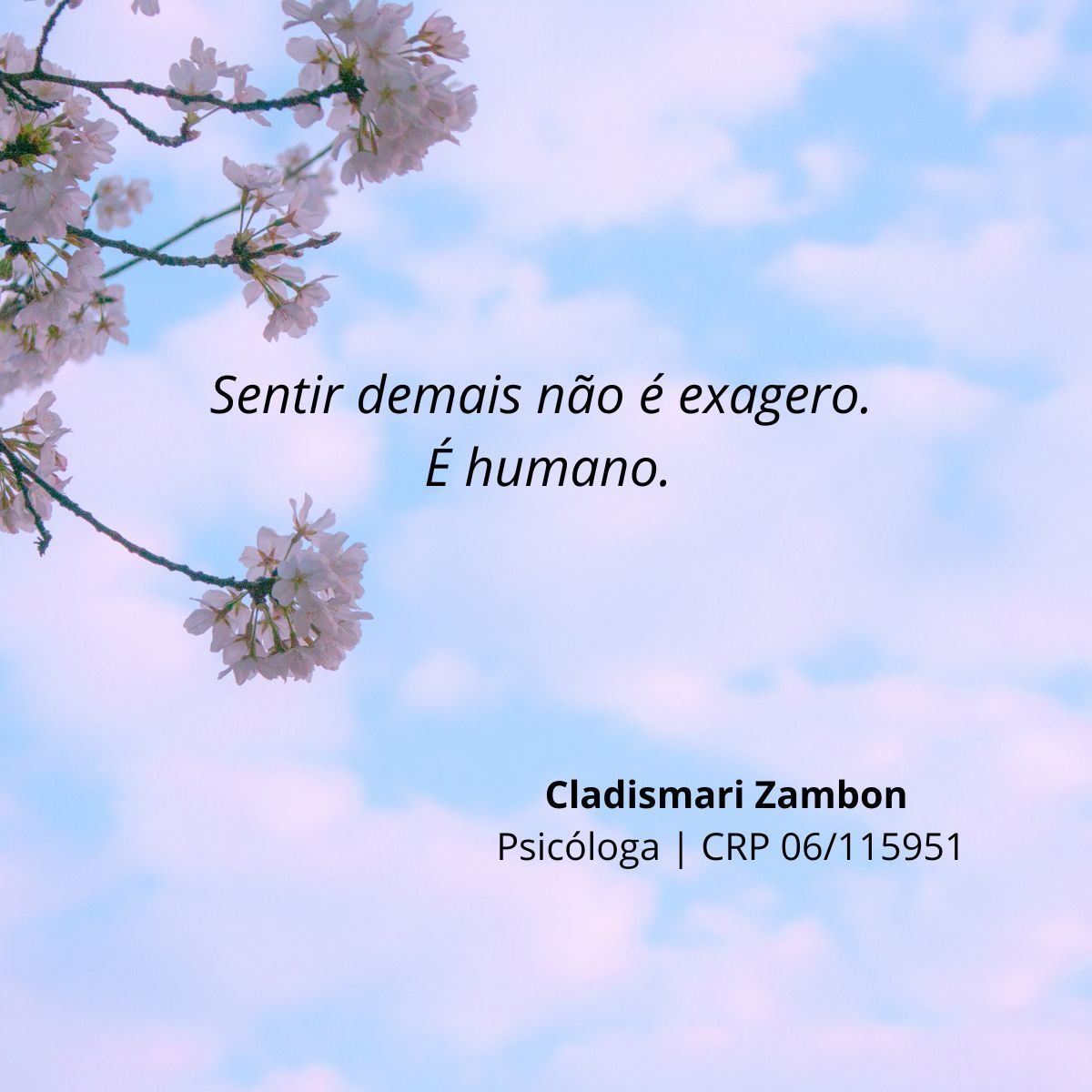 Cladismari Zambon-18