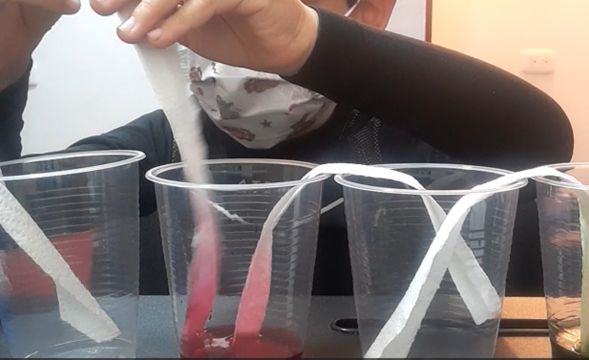 Diana Marcela Laverde Robayo-0