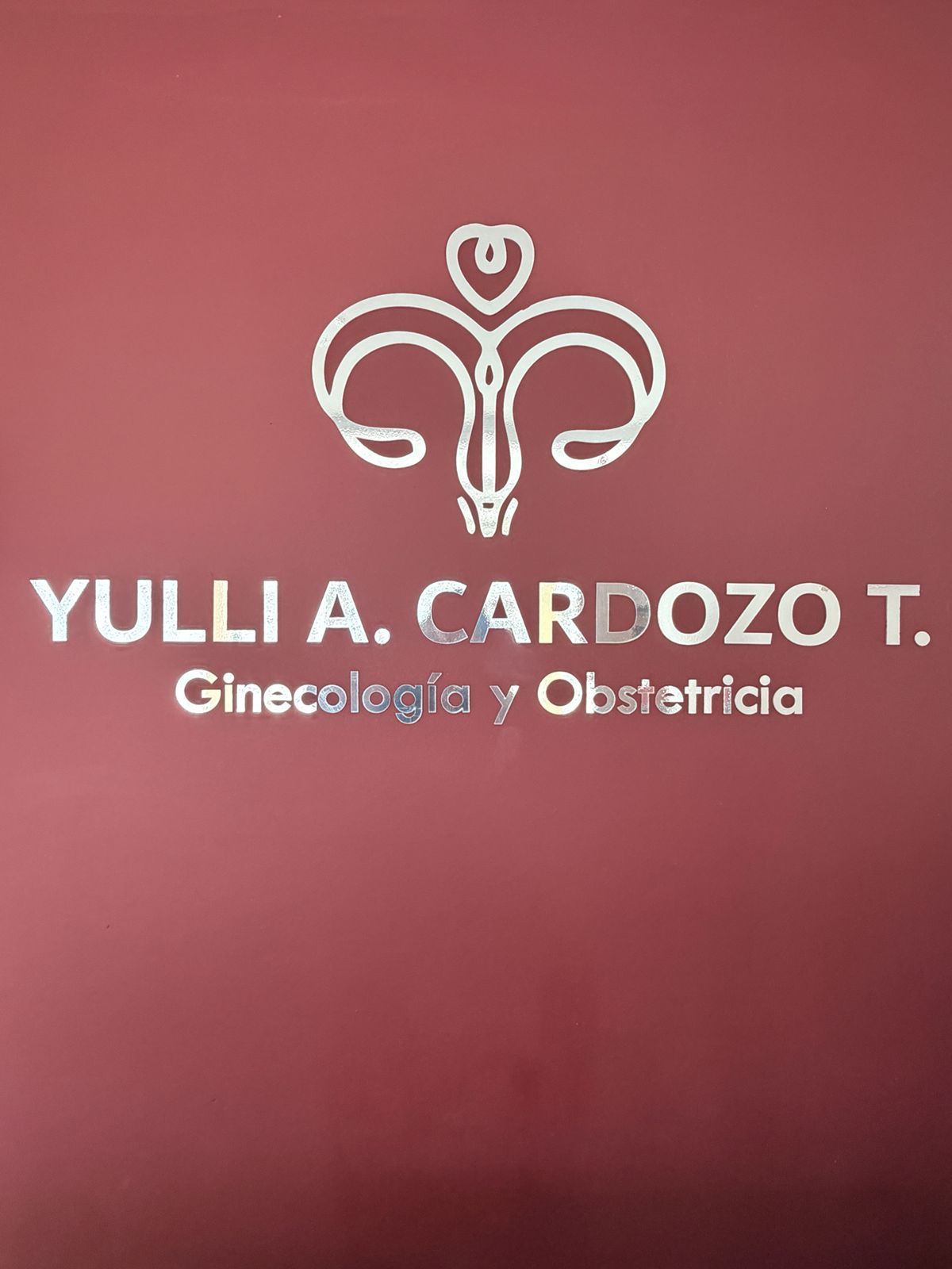 Yulli Andrea Cardozo-1