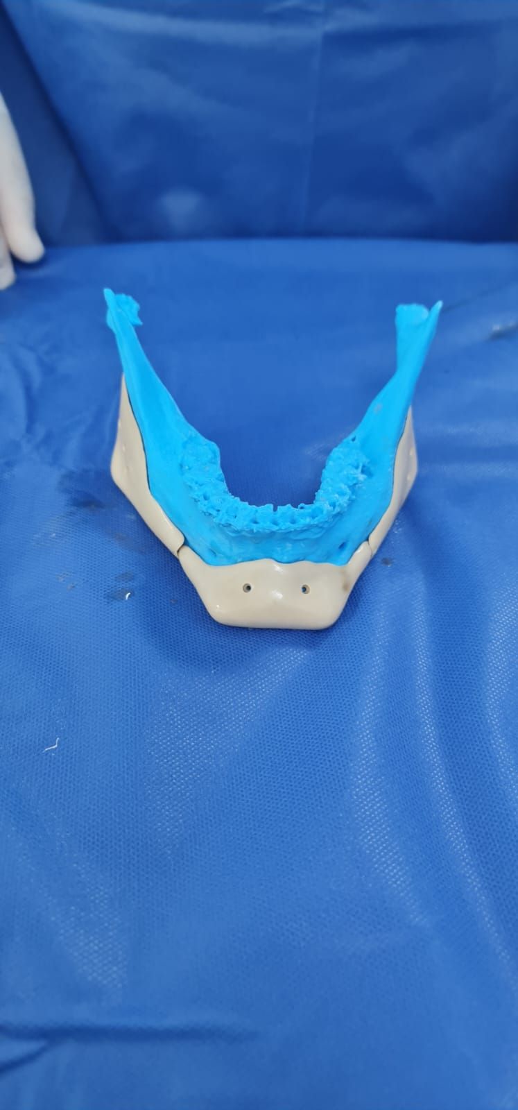 Luisa Fernanda Gomez Reyes-14