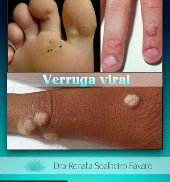 Renata Soalheiro Fávaro-1