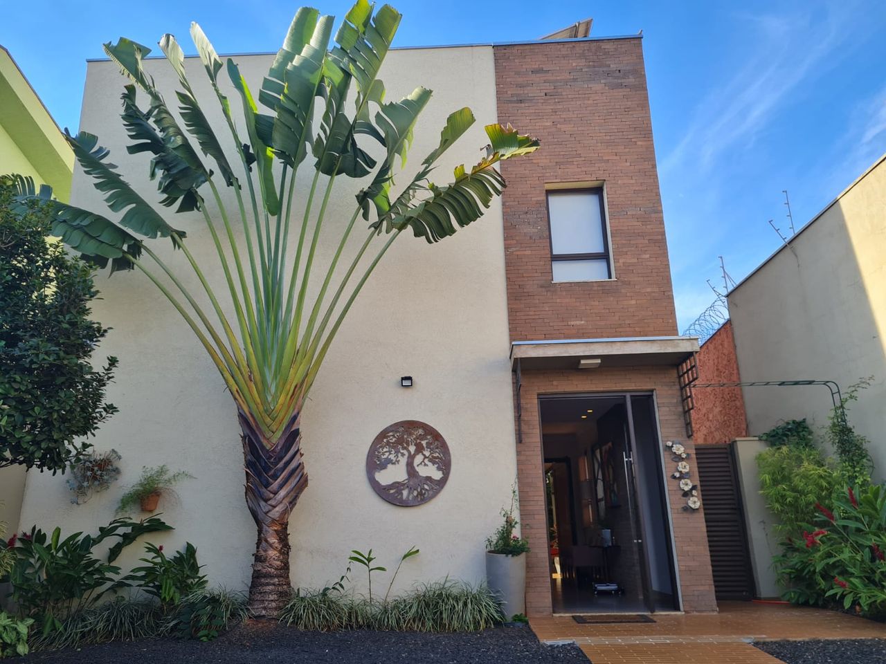 Luciano Bertipaglia Fiori-0