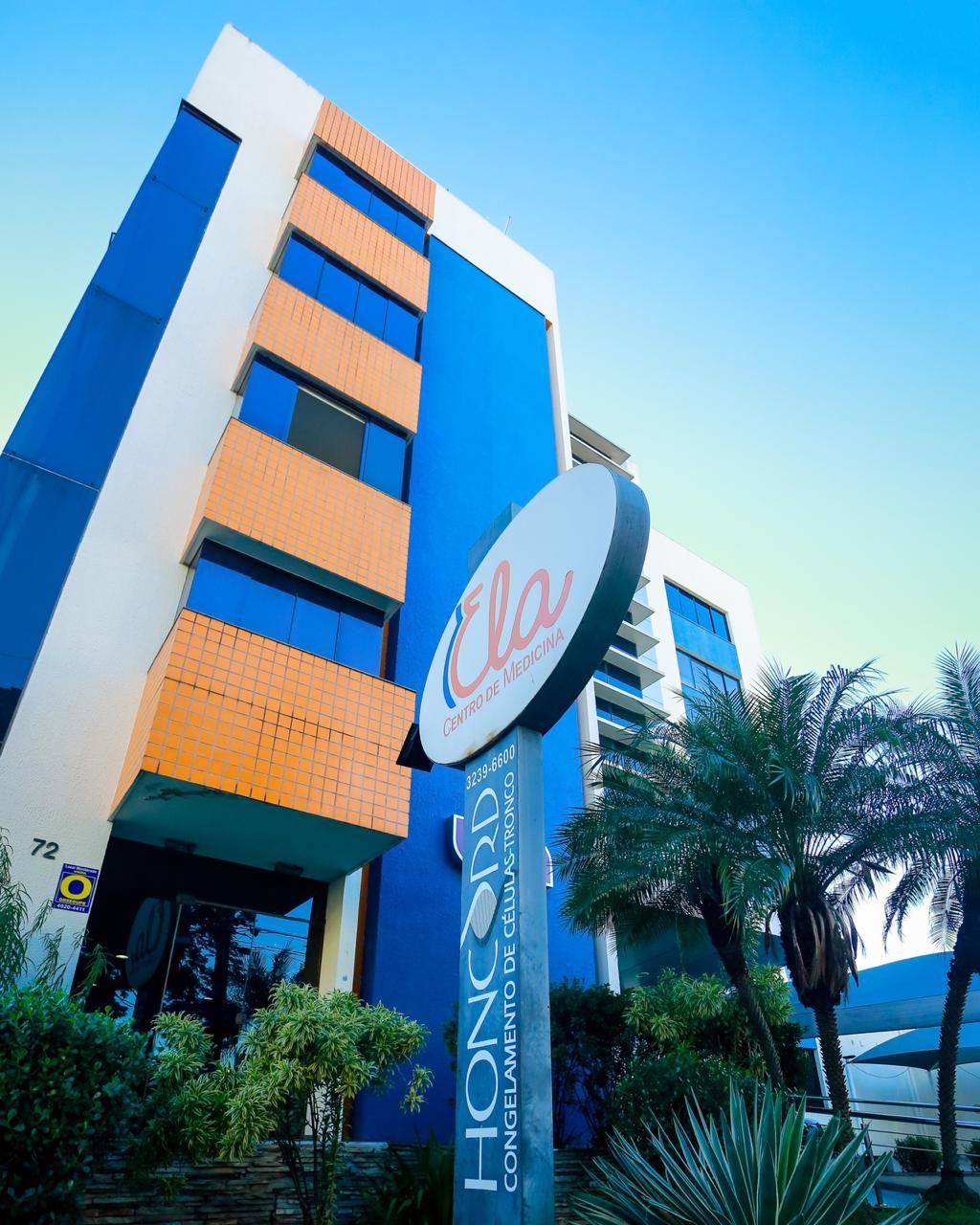 Marcelo Brito De Mesquita Leite-3