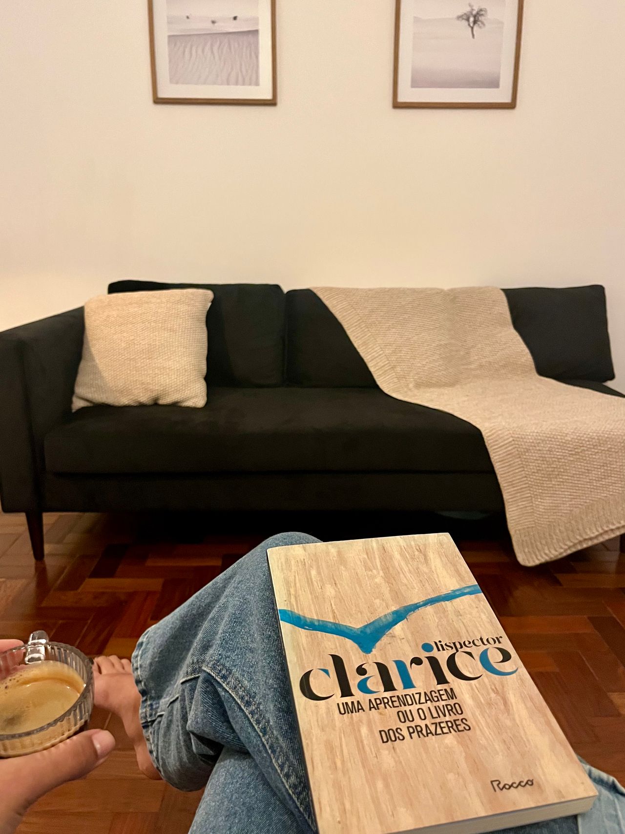  Laís  Mendes Toledo-0