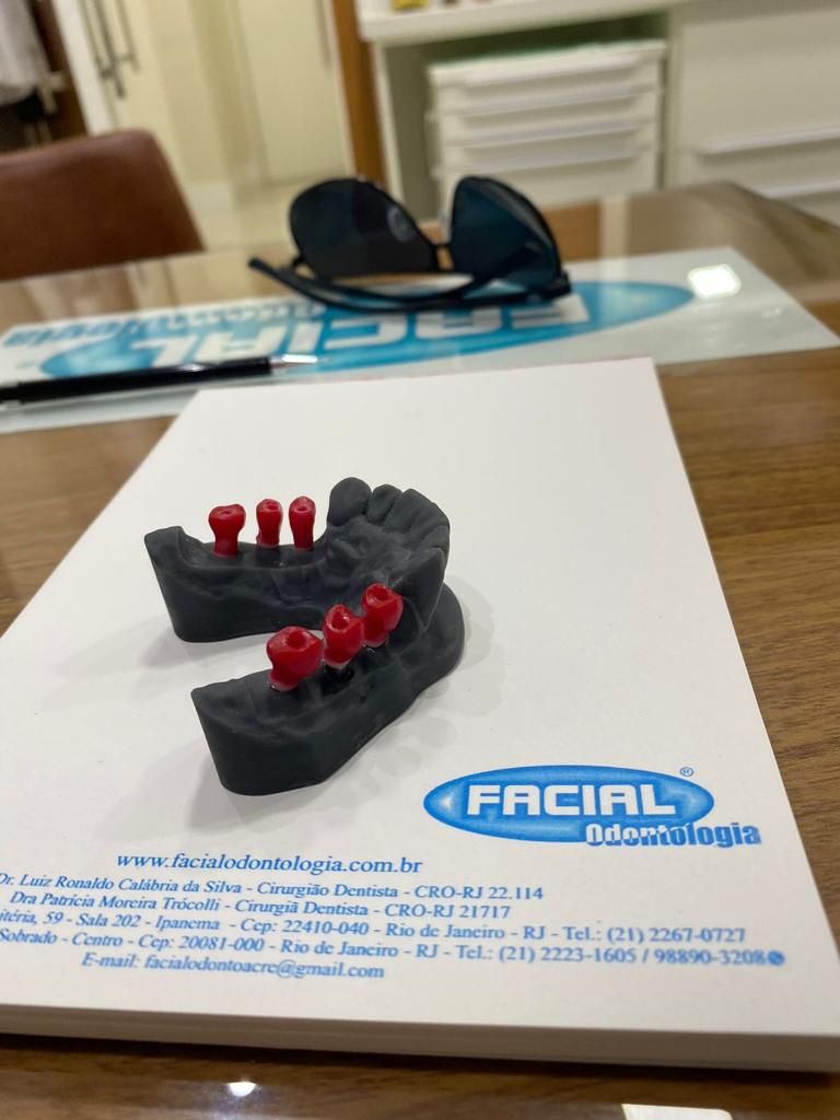 Patrícia Moreira Trócolli-11