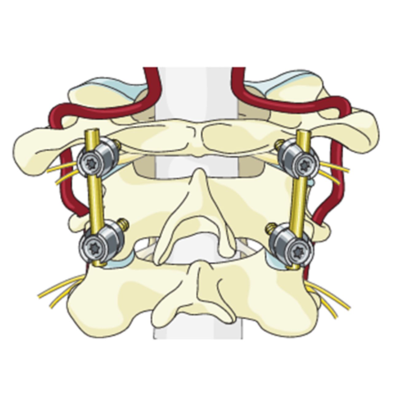 David Tafur Muñoz-1506