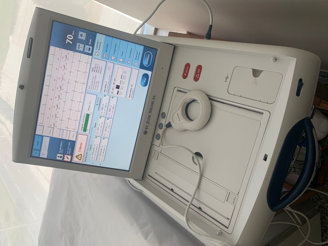 Fernanda Brasiliense Ladeira-1