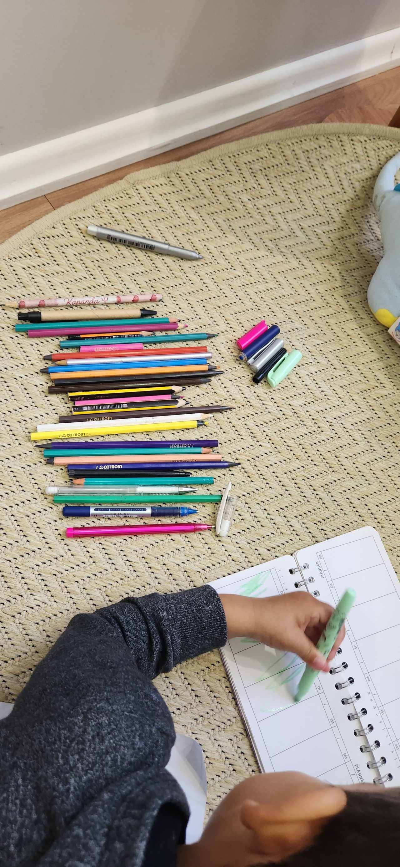 Kananda F. Godoy Telski-6