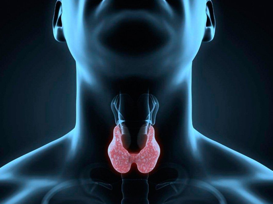 Enrique Ivan Ramos Maurell-4