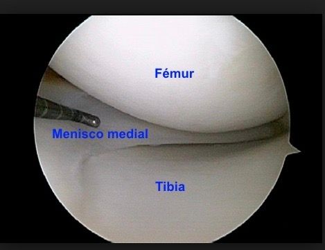 Dimitri Lovisaro Rumiantzeff-21