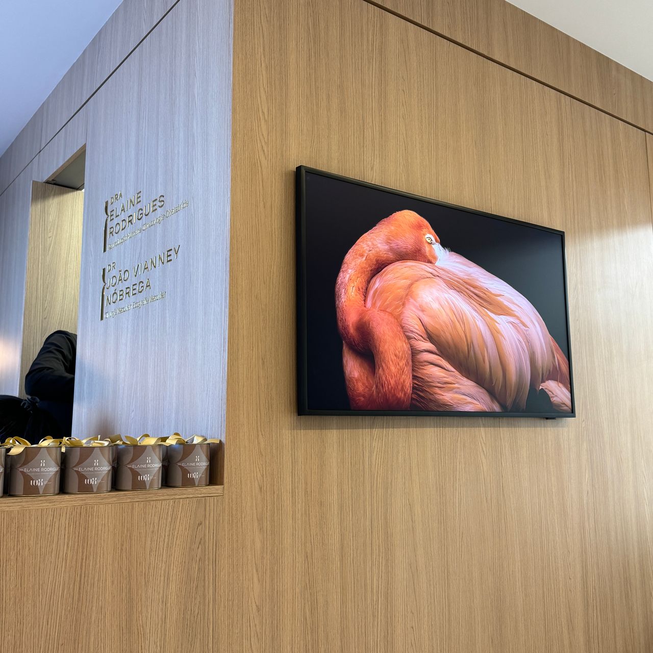 João Vianney De Aragão Nobrega-0