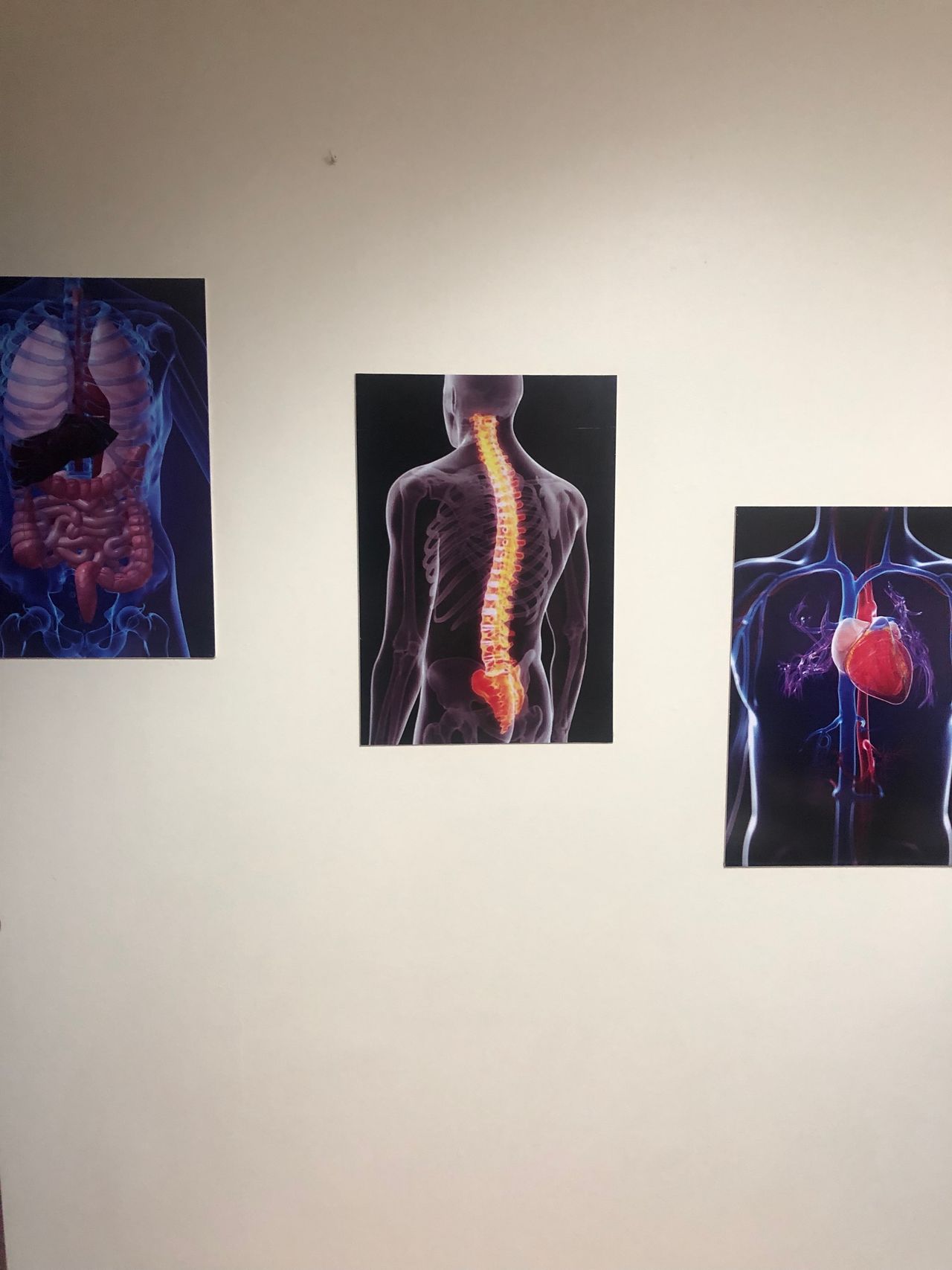 Elizabeth Zúñiga Sanhueza-14